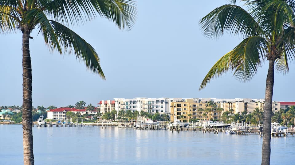 A marina with boats, palm trees, and multi-story buildings in the background.