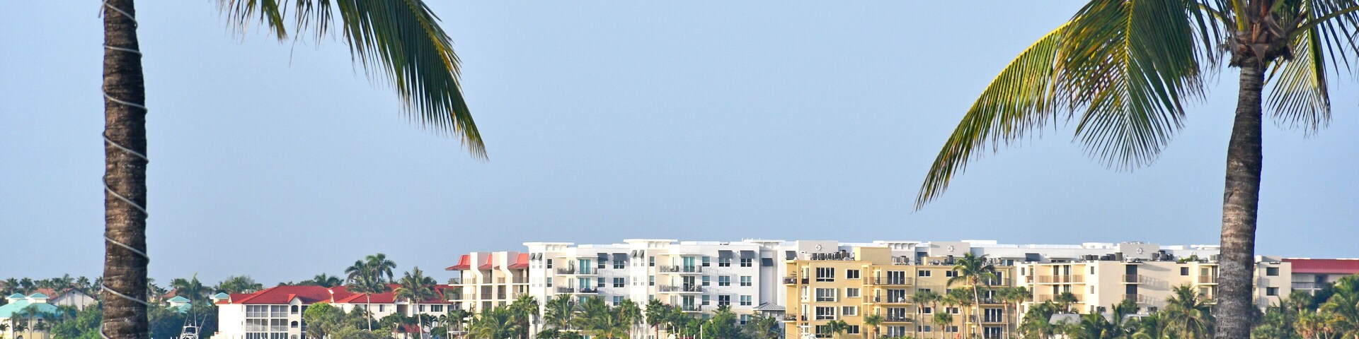 Un puerto deportivo con barcos, palmeras y edificios altos al fondo.