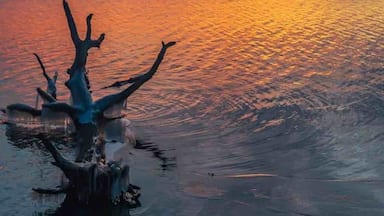 Sunset on Sangchris Lake.