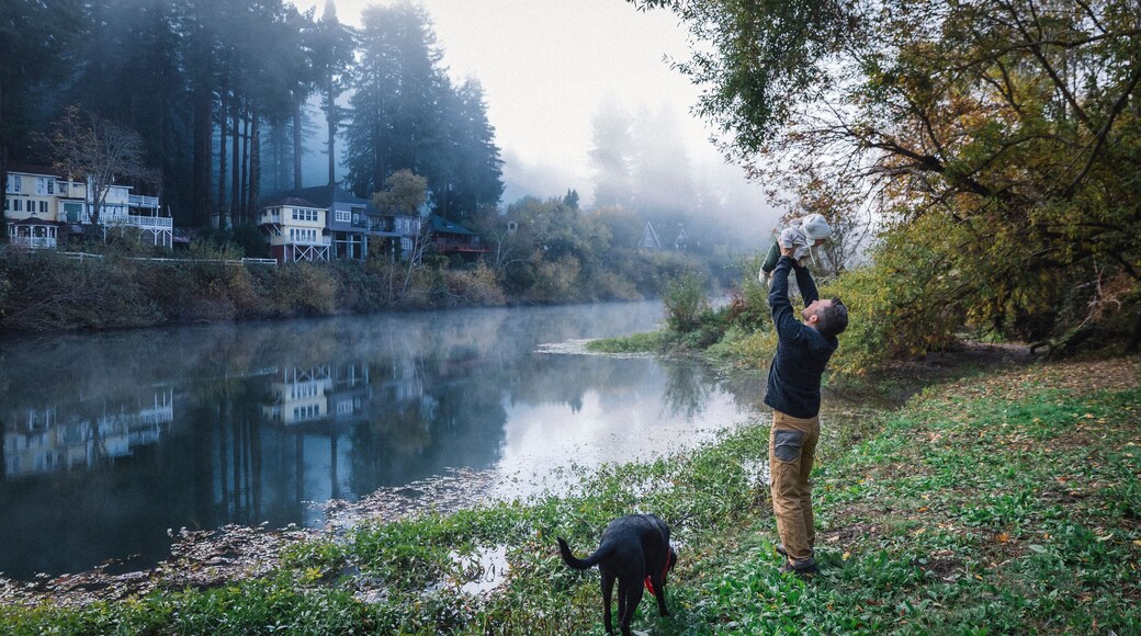 ๋ชฌํ
๋ฆฌ์ค