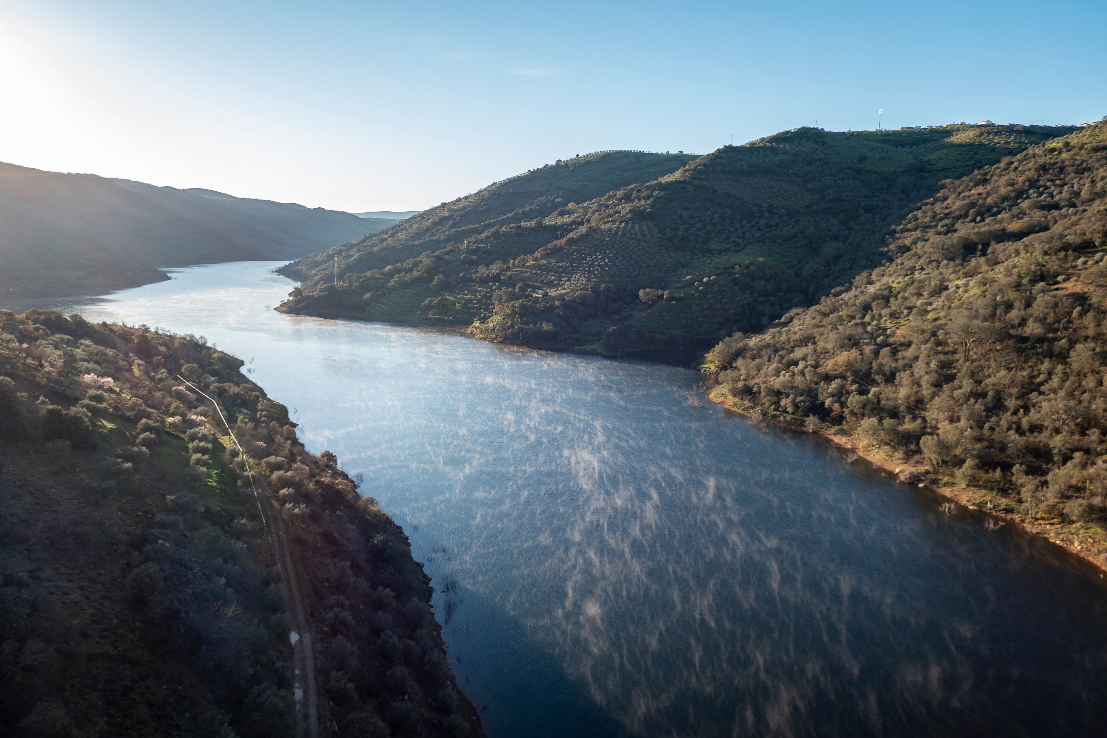 มอนเตริโอ