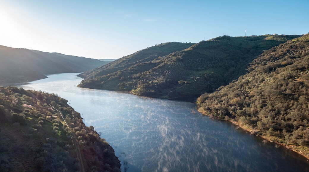 มอนเตริโอ