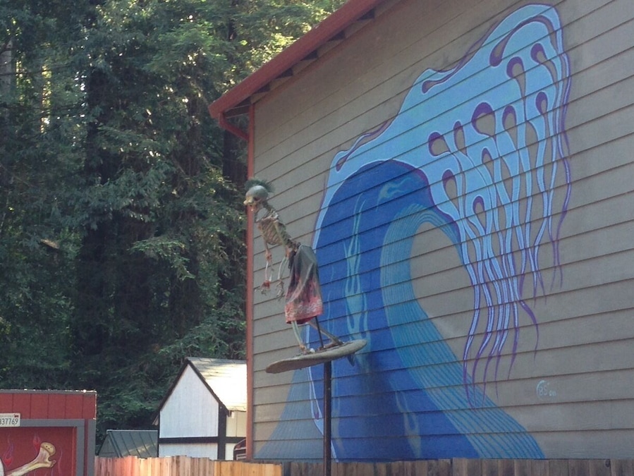 Surfer dude from Hades on the Russian River!