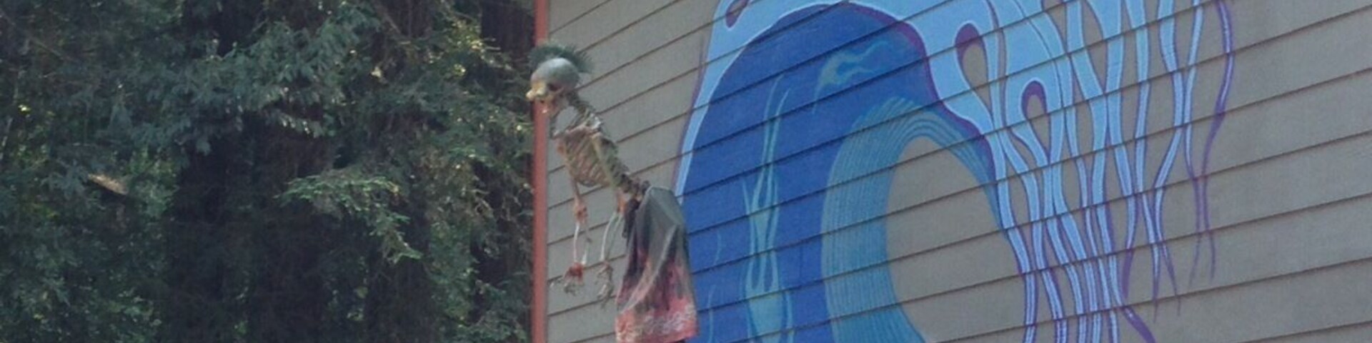 Surfer dude from Hades on the Russian River!