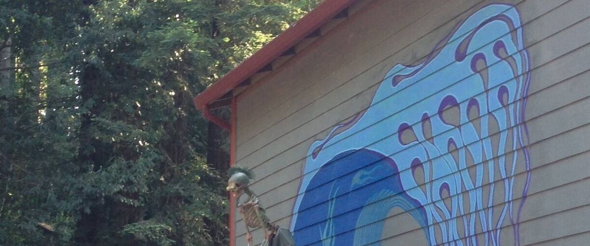 A mural of a wave on a building, a wooden fence, and a shed in the background.