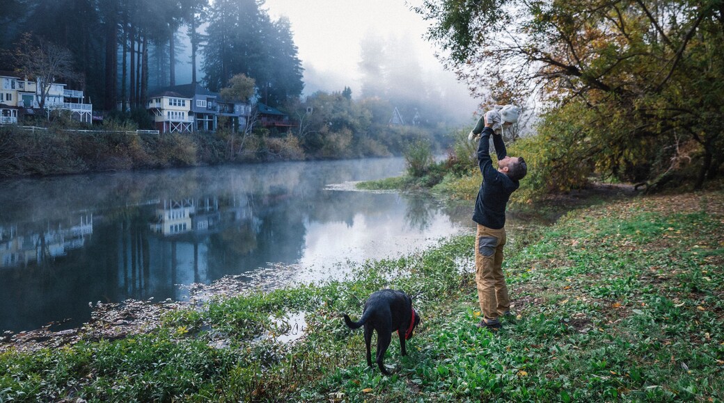 ๋ชฌํ
๋ฆฌ์ค