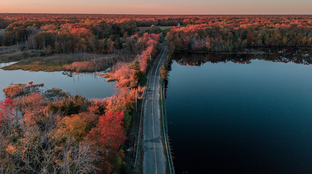 Swedesboro