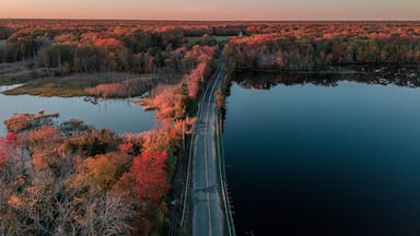 Un puente sobre un río tranquilo, rodeado de árboles de colores otoñales.