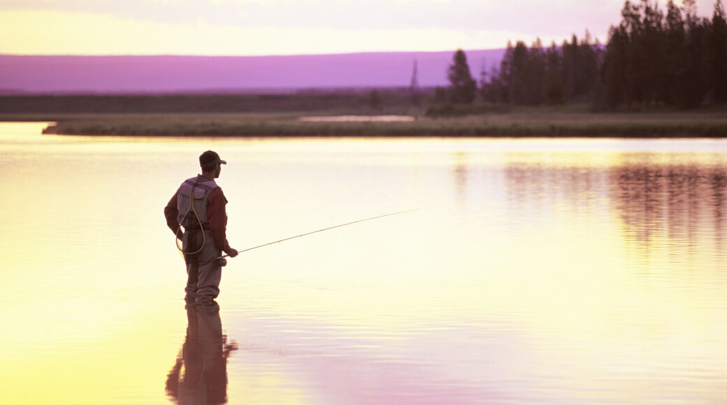 A fly-fisherman looks for feeding trout at sunrise.
