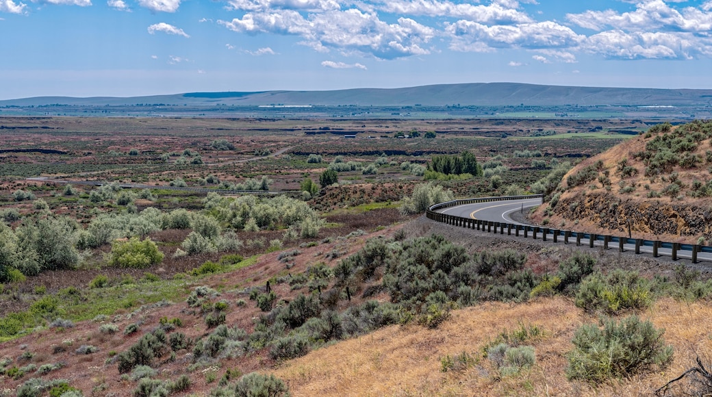 A road curves along the Drumheller Channels in the Columbia National Wildlife Refuge near Othello, Washington, USA
