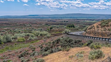 A road curves along the Drumheller Channels in the Columbia National Wildlife Refuge near Othello, Washington, USA