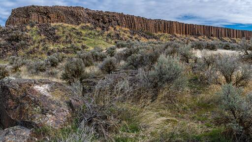 Drumheller Channel Basalt Columns in Washington State