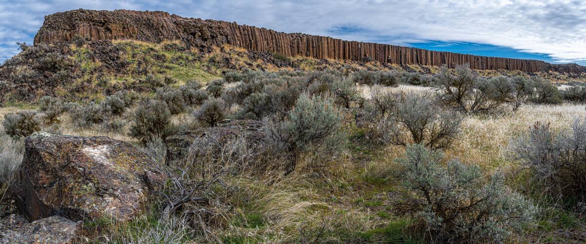 Drumheller Channel Basalt Columns in Washington State