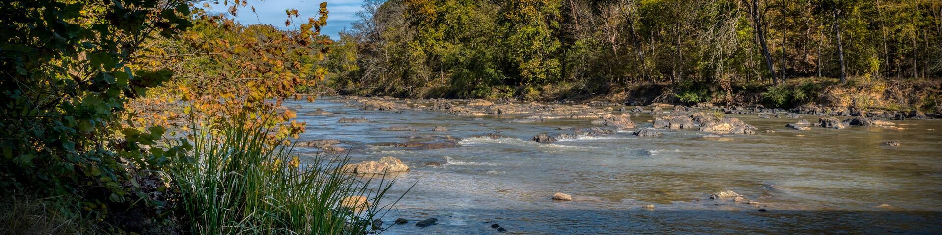 Early foliage on Haw River at Swepsonvile River Park