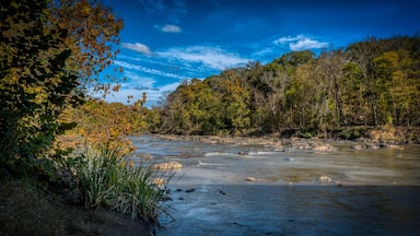 Early foliage on Haw River at Swepsonvile River Park