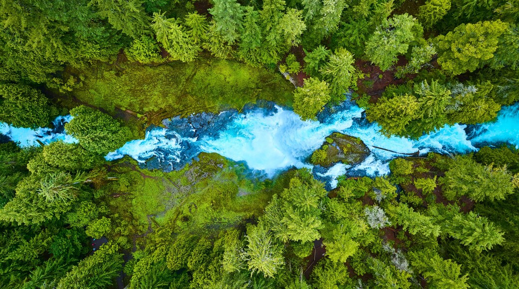 Aerial View of Vibrant Forest and Blue River Rapids in Pacific Northwest