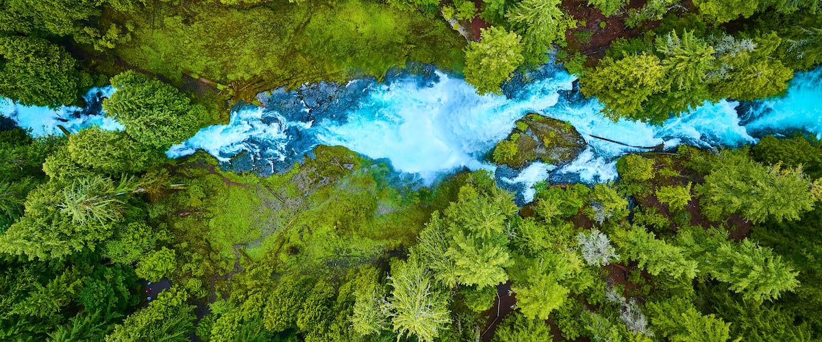 Aerial View of Vibrant Forest and Blue River Rapids in Pacific Northwest