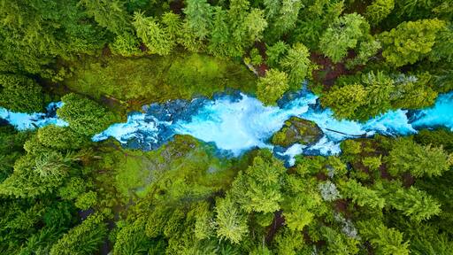 Aerial View of Vibrant Forest and Blue River Rapids in Pacific Northwest