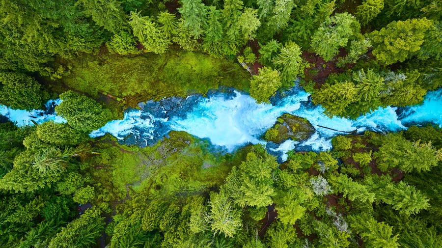 Aerial View of Vibrant Forest and Blue River Rapids in Pacific Northwest