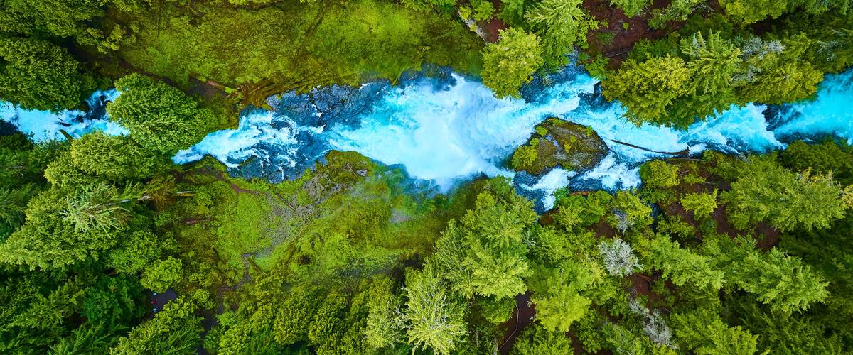 An aerial view of a river flowing through a dense forest.