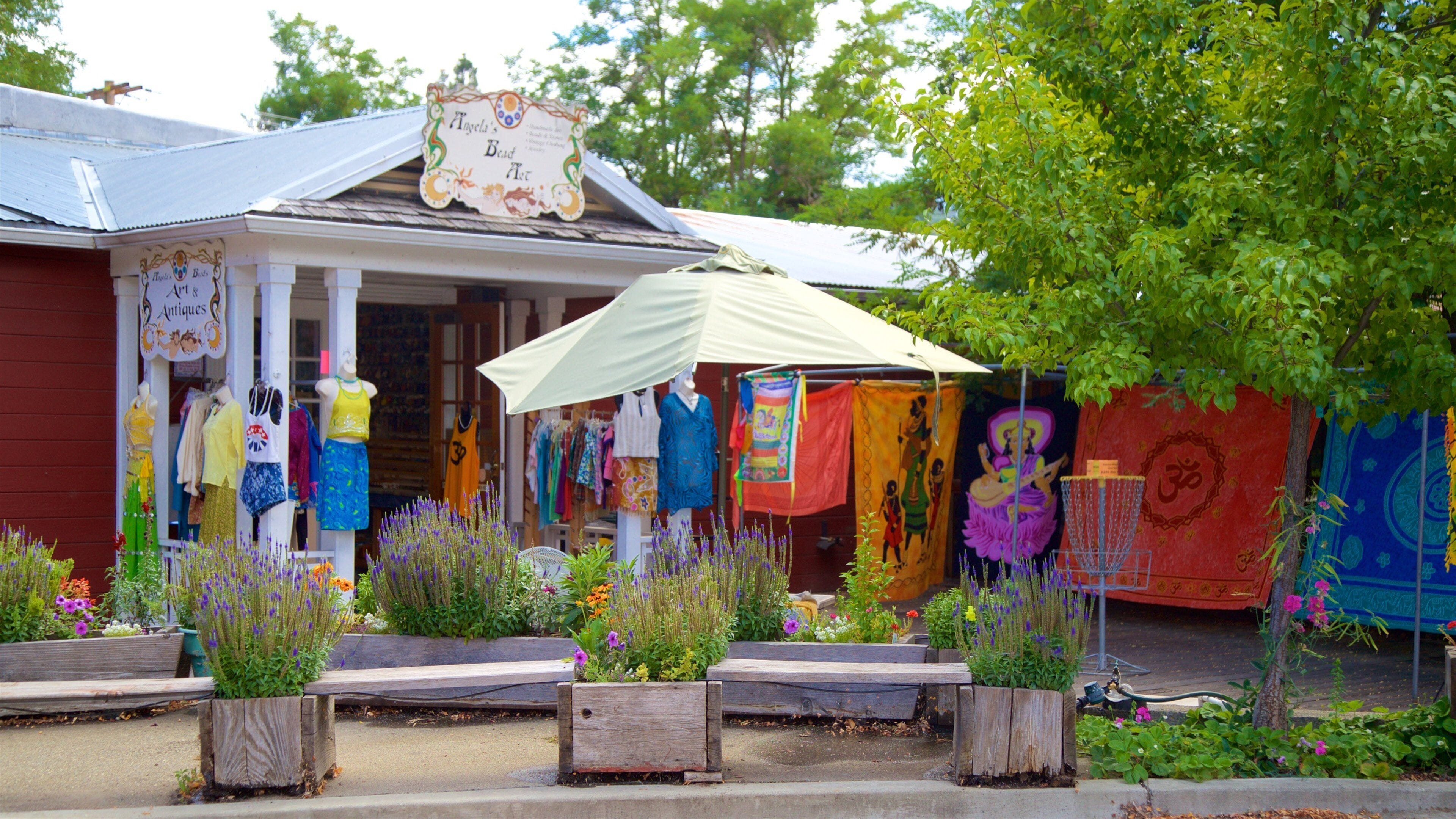Weaverville showing flowers