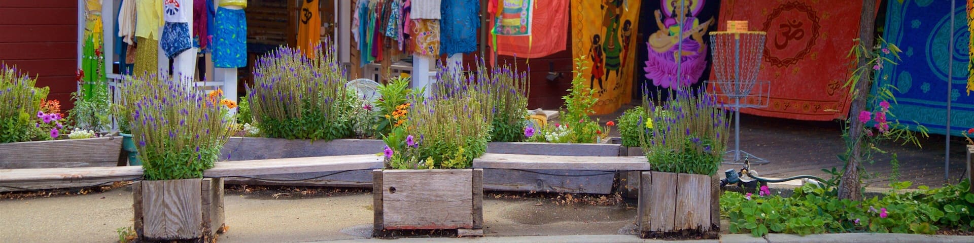 Weaverville showing flowers