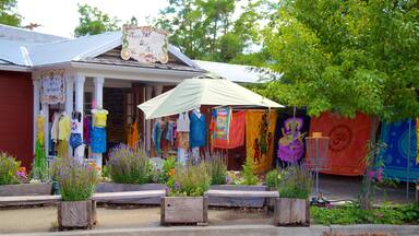 Weaverville showing flowers