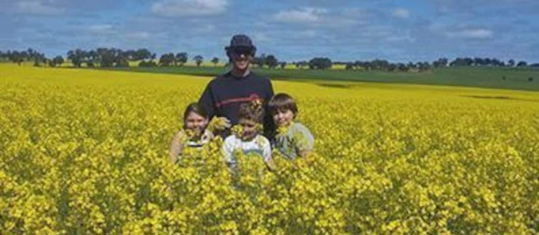 Canola fields,near York. About 1 hour drive east of Perth