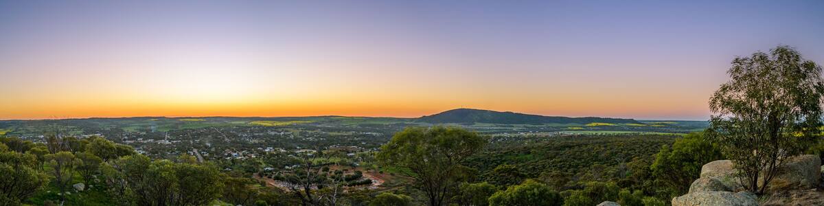 Canola Fields in York Western Australia