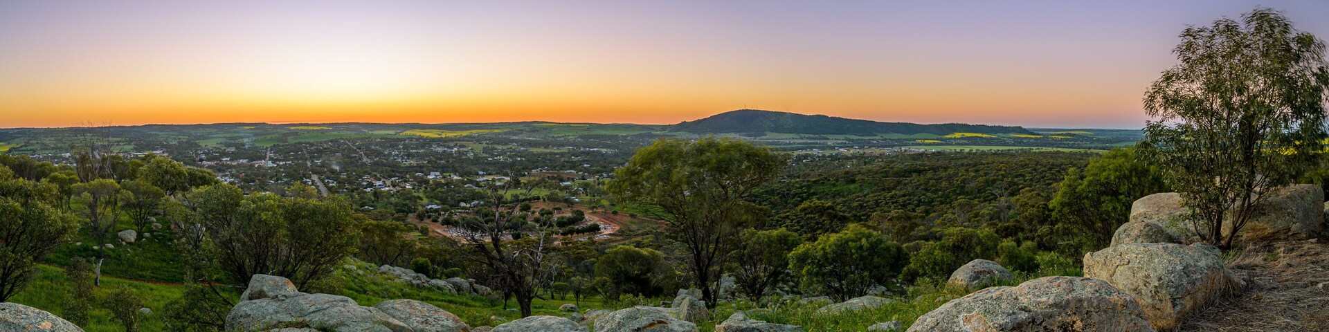 Canola Fields in York Western Australia