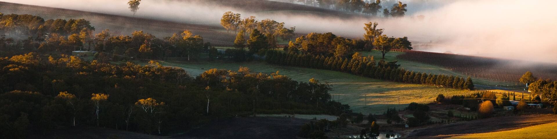 A valley with rolling hills, a misty atmosphere, and scattered trees.