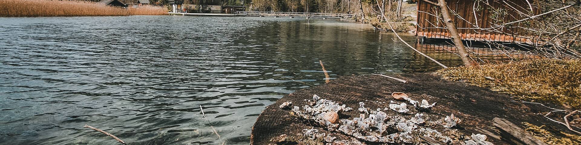 Grünau im Almtal, Photo of an Austrian lake with mountains in the background, moody green, horizontal