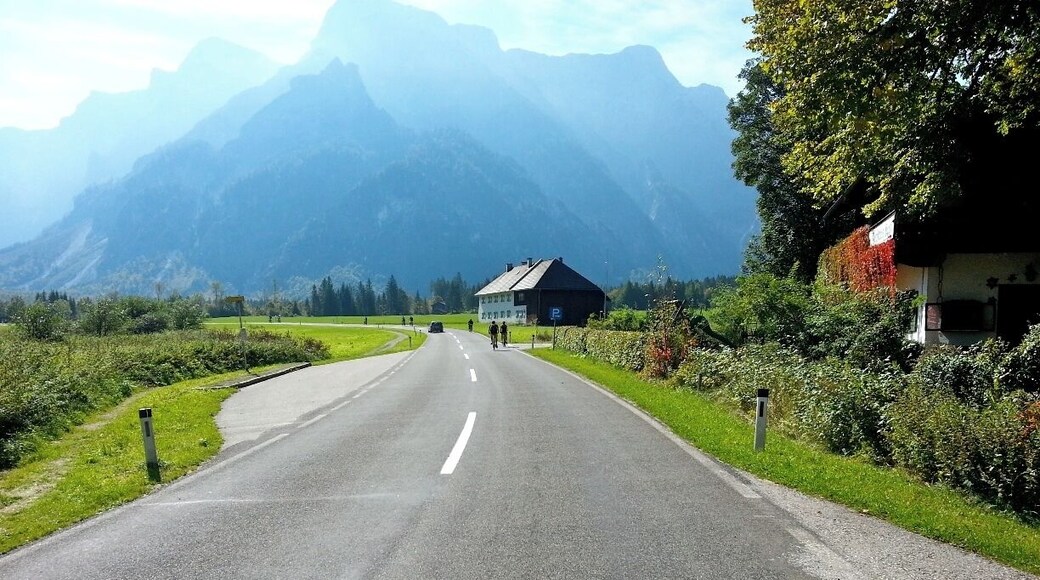 The hills were alive with the sound of music