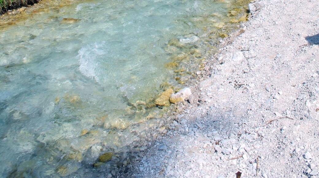 Beautiful colour of water in forest.