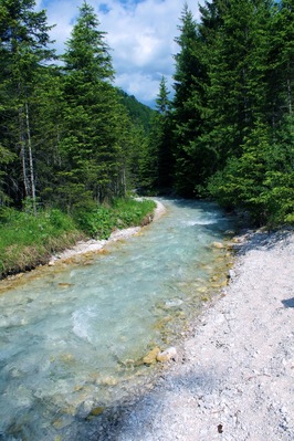 Beautiful colour of water in forest.