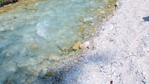 Beautiful colour of water in forest.