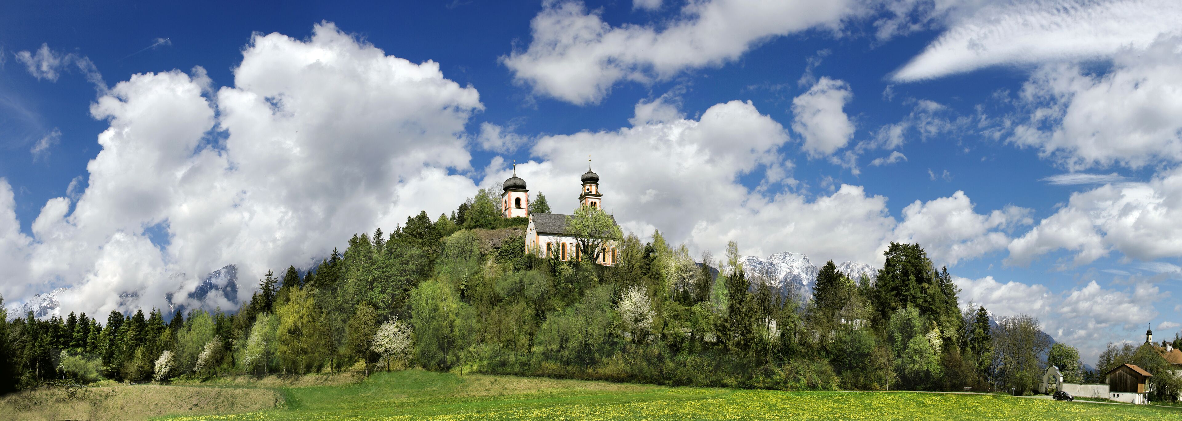 A church on a hill surrounded by trees and a field of yellow flowers.