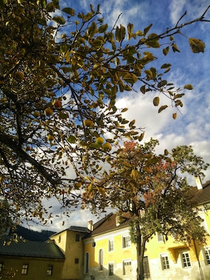 Apple tree! Coming from a country that lies close to the earth's equator, this isn't a usual view. Love to see apple trees everywhere. If only I can just pluck a few.