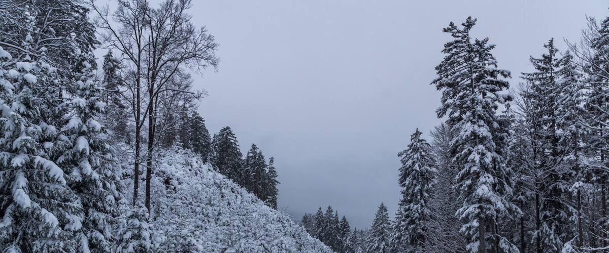 Walking through freshly snowed paths in the mountains of Austria! #snow #austria #hiking
