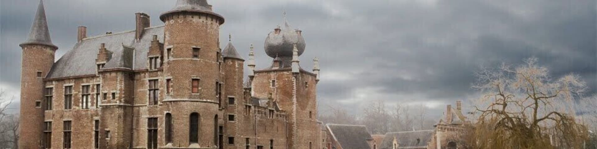 Castle Cleydael in the winter
