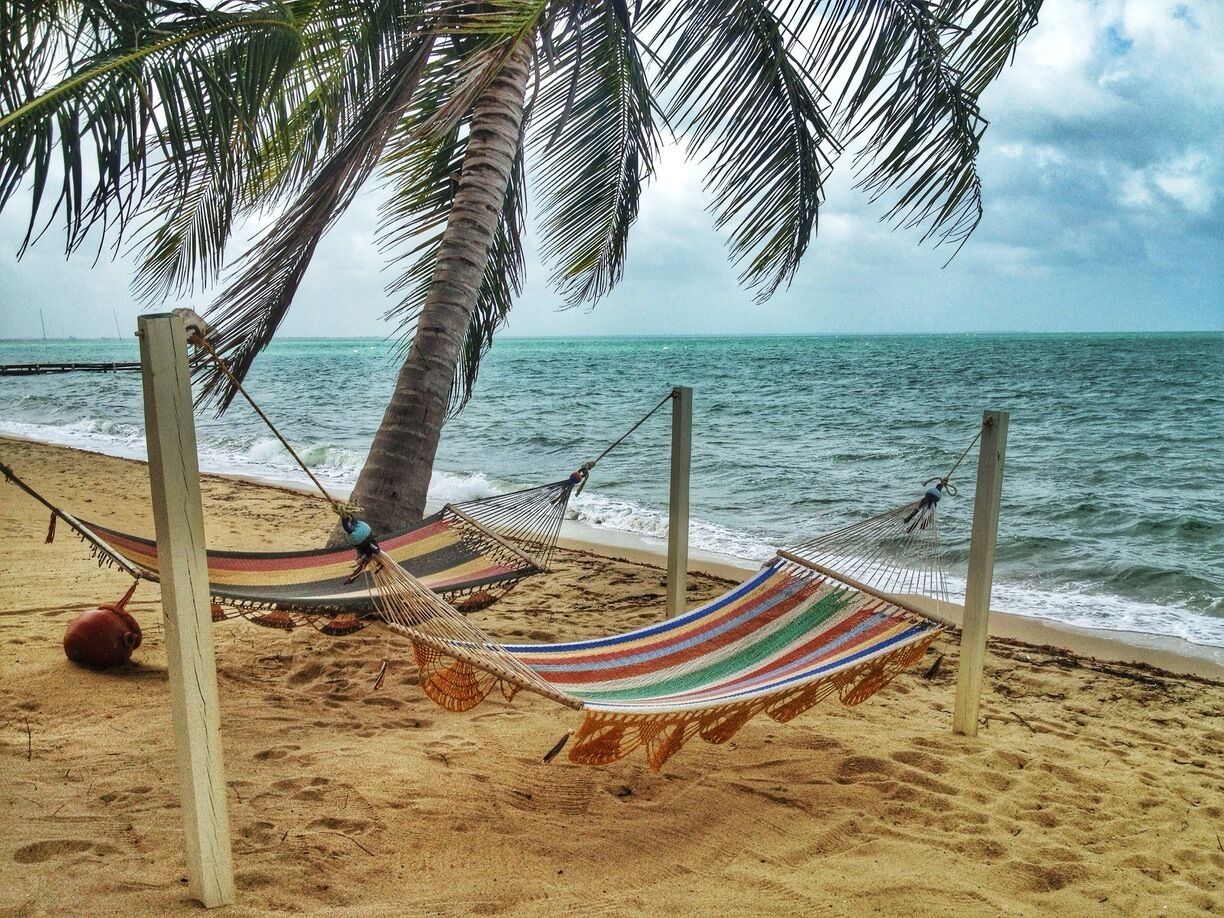 A beach with a hammock and a beach ball under a palm tree.