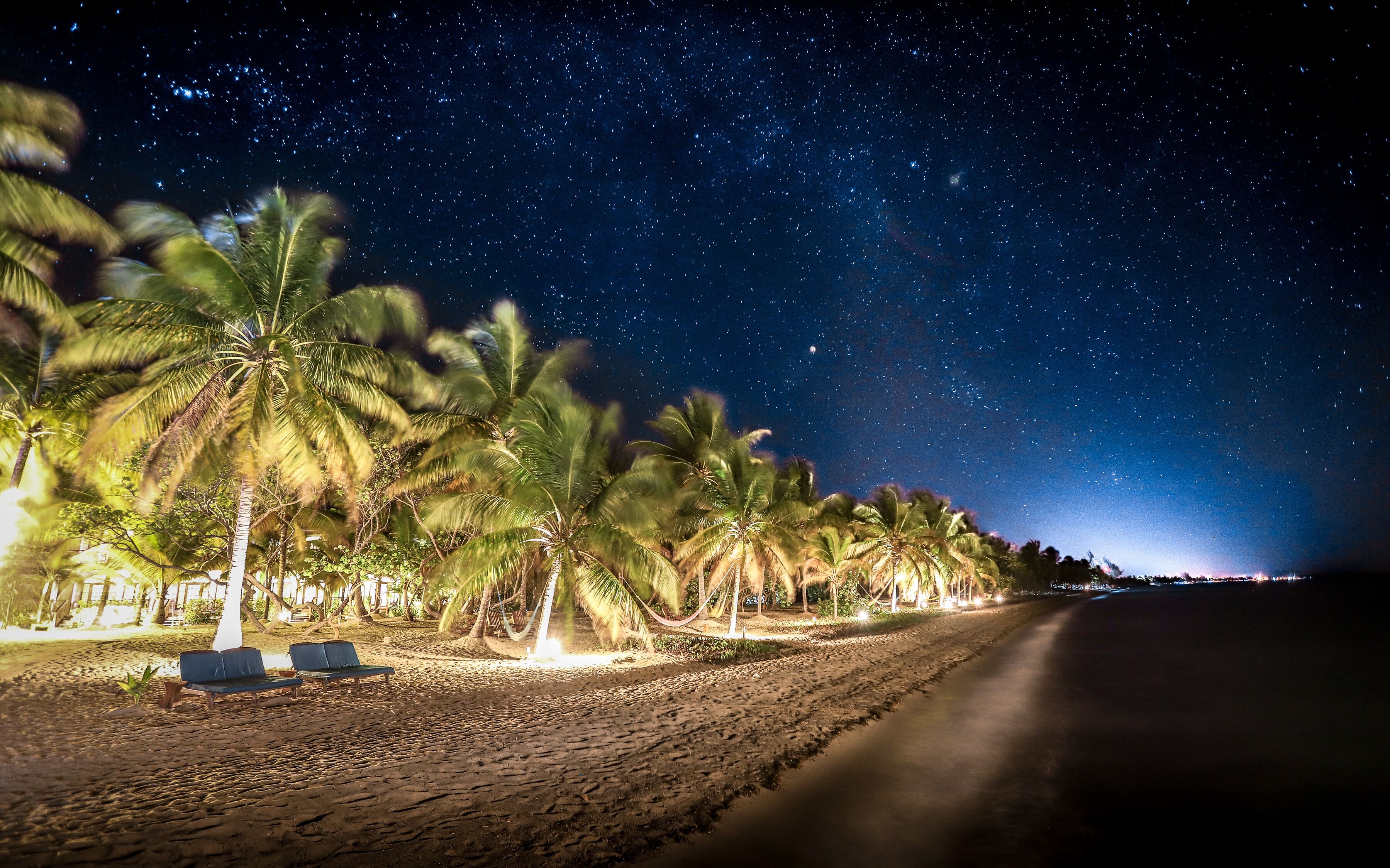 Una playa de noche con palmeras y un cielo estrellado.