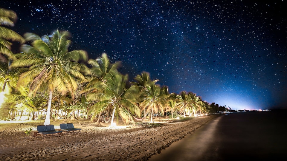 Una playa de noche con palmeras y un cielo estrellado.