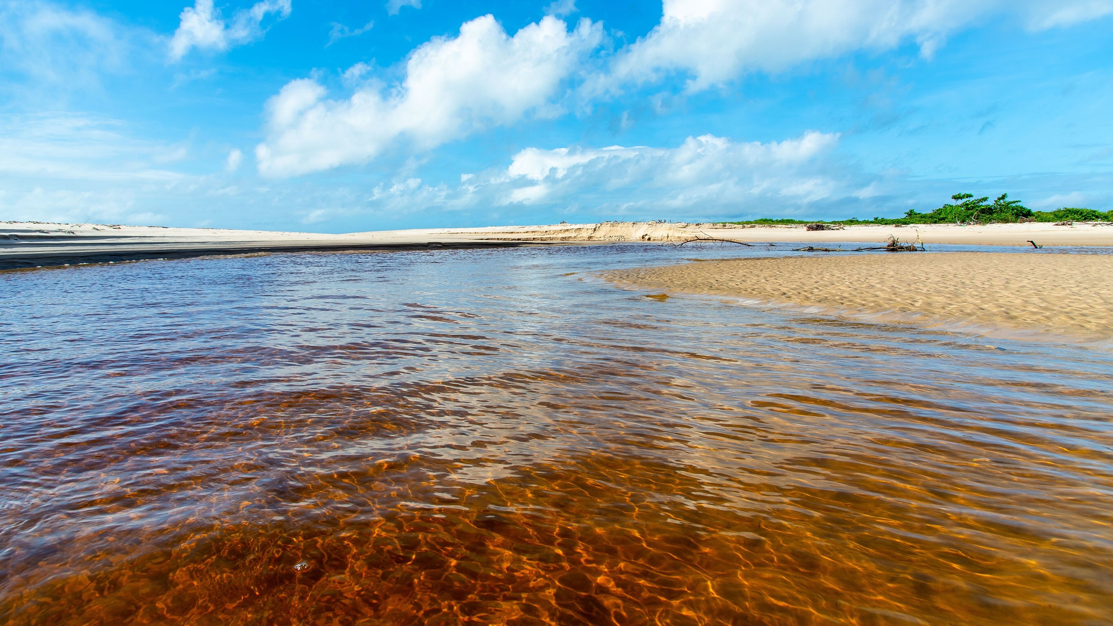 A beach with clear shallow waters, sandy shore, and a distant tree line under a blue sky.