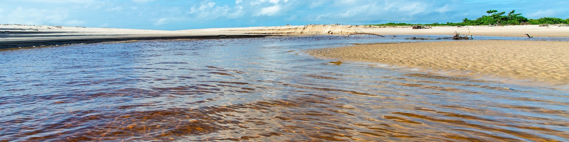 A beach with clear shallow waters, sandy shore, and a distant tree line under a blue sky.