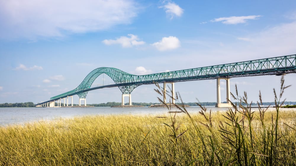 View of Pont Laviolette bridge over the Saint Lawrence River with aquatic plants in the foreground.