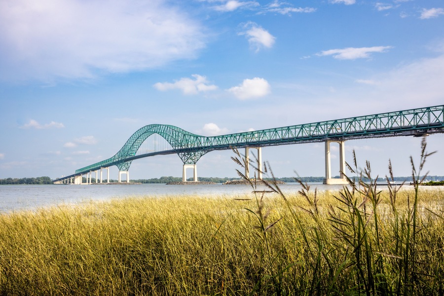 View of Pont Laviolette bridge over the Saint Lawrence River with aquatic plants in the foreground.