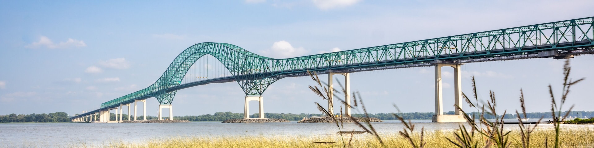 View of Pont Laviolette bridge over the Saint Lawrence River with aquatic plants in the foreground.