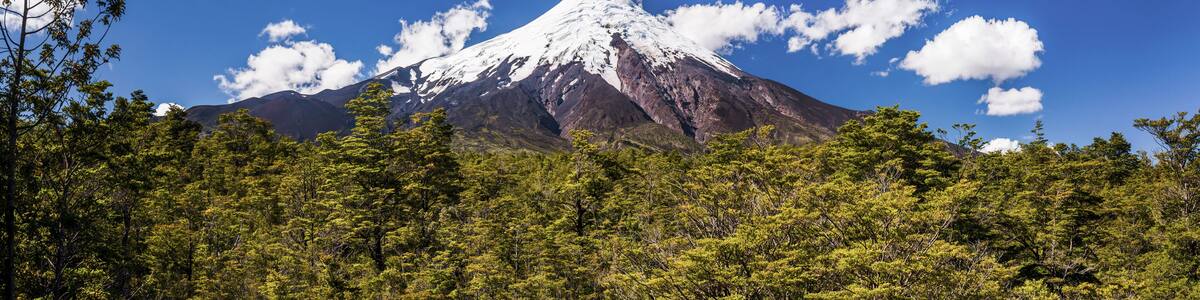 Osorno Volcano (Volcan Osorno), Vicente Perez Rosales National Park, Chilean Lake District, Chile, South America