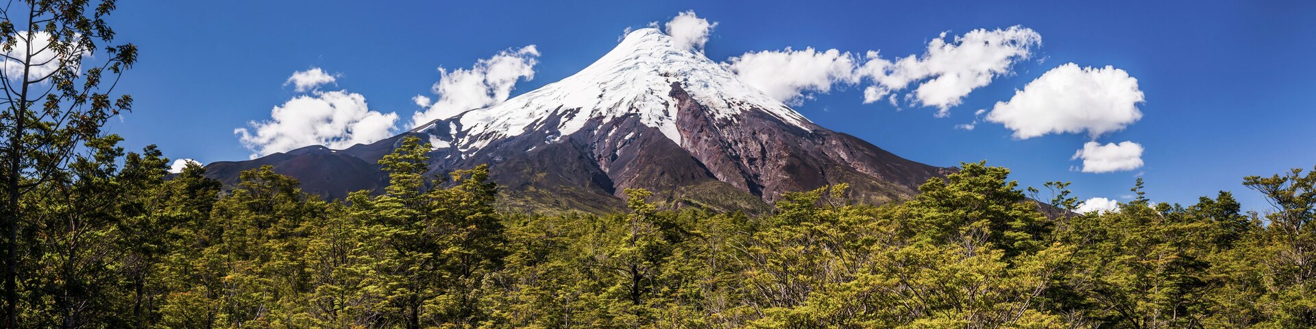 Osorno Volcano (Volcan Osorno), Vicente Perez Rosales National Park, Chilean Lake District, Chile, South America